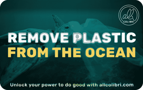 Allcolibri Plastic Removal gift card