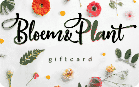 Bloem&Plant gift card
